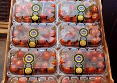 Pomodoro di Pachino in vaschette.