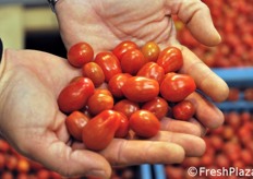 Un piccolo grande tesoro di sapore indescrivibile!