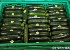 Le zucchine lavorate qui sono della tipologia verde lunga.