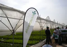 Si e' svolto in data 8 aprile 2011 in provincia di Verona l'evento Living Proof della Monsanto Vegetable Seeds, per la presentazione della sua gamma Lattughe.