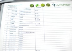 Le varieta' di lattuga in esposizione nel campo dimostrativo.