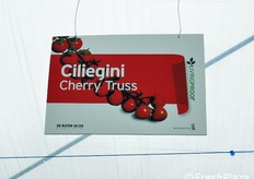 Ogni serra e' suddivisa per tipologia di prodotto. Qui siamo nella zona di ciliegini, ciliegini ovali e allungati.