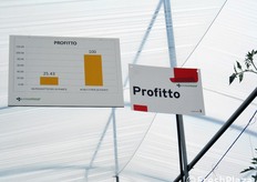 Nella foto e in quelle seguenti le cultivar Profitto, Punente, gli insalatari (Bengodi), i pomodori ovali, collettati allungati e San Marzano (WS 1691).