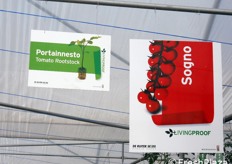 Il confronto diretto e' ottimo per verificare il comportamento del portainnesto in abbinamento a differenti varieta' di pomodoro e per orientare l'agricoltore nella scelta del portainnesto piu' idoneo alle condizioni colturali, alla varieta' e alle diverse necessita'. In questo caso, per un agevole confronto dei risultati, la cultivar di pomodoro innestata su tutte le prove in campo e' Sogno.