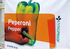 L'entrata ad una serra destinata ai peperoni: vi sono coltivate varieta' gia' in commercio, insieme a nuove selezioni in via di sperimentazione, come ad esempio il mezzo lungo rosso DRP5548 e il giallo Caligola.