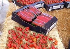 Allestita all'entrata del Centro dimostrativo c'era una piccola mostra pomologica, in cui vedere da vicino i pomodori e peperoni Monsanto.