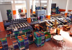 Lo stabilimento e' suddiviso in due aree da 1.600 metri quadrati coperti.