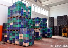 Oltre ad arance e limoni, l'azienda Tortomasi lavora anche meloni e pesche. In prospettiva, inoltre, ha intenzione di diversificare la propria offerta anche con prodotti orticoli come peperoni e zucchine.