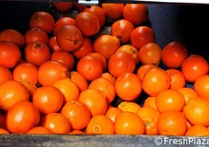 Arance in arrivo al banco di confezionamento.