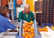 Addetti al confezionamento.