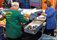 L'uso di una carta velina per confezionare parte dei frutti e' una procedura che risale alla tradizione del settore agrumicolo siciliano.