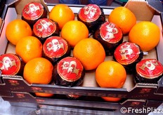 Agrumi confezionati a marchio proprio Princesse.