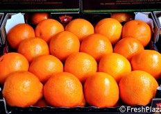 Il principale mercato di vendita per l'azienda Tortomasi e' rappresentato dall'Italia (con una quota del 70%). All'estero, l'azienda spedisce la merce prevalentemente alla grande distribuzione di Germania (catena Lidl) e Gran Bretagna (catena Waitrose).