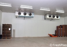 "Cella per il "parcheggio" in condizioni di temperatura controllata per la merce in attesa del carico sui mezzi di trasporto. La temperatura di questo ambiente viene mantenuta a 5 gradi centigradi per le arance e a 3 gradi centigradi per le pesche."