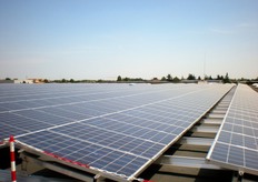 Pannelli fotovoltaici sullo stabilimento Apofruit di Pievesestina di Cesena. Gli impianti sono stati realizzati da APO ENERGIA, joint venture paritetica tra Apofruit Italia e Opera Energia (OPEN - derivazione del Consorzio Romagna Energia-CRE), che si propone di sviluppare l'adozione di tecniche di produzione energetica alternativa realizzando impianti fotovoltaici nelle strutture del gruppo Apofruit.