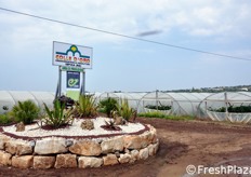 Si e' svolta in data giovedi' 26 maggio 2011 nel ragusano (zona Modica) la seconda Giornata Nazionale sullo Zucchino, organizzata da Enza Zaden per presentare a produttori e operatori della filiera le sue nuove (o gia' recentemente introdotte) selezioni varietali nel segmento dello zucchino.