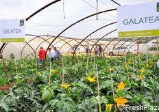 Prime affluenze di operatori in visita.