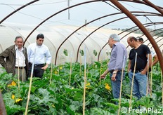 Carmelo Savarino di Enza Zaden (in primo piano sulla destra) illustra le caratteristiche delle selezioni di zucchino.