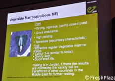 Per ogni prodotto e' stata presentata una scheda con le principali caratteristiche.