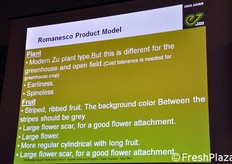 La relazione ha analizzato anche i parametri che orientano la ricerca genetica di Enza Zaden per specifiche tipologie di prodotto (nella slide, il modello per lo zucchino Romanesco), nonche' per gruppi di prodotto (come zucchino da serra per ciclo invernale, zucchino da serra per ciclo primaverile/autunnale o zucchino da pieno campo).