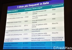 In questa e nelle slides successive, i passaggi centrali della relazione, che ha posto l'accento sull'insorgenza di nuovi ceppi del Virus del Mosaico (CMV), che presentano un notevole profilo di aggressivita'.