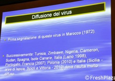Diffusione del ceppo mutante di WMV, denominato M-WMV.