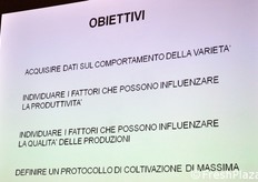 Gli obiettivi che la ricerca si proponeva di raggiungere.