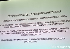 I passaggi essenziali dello studio.