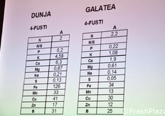 Dunja e Galatea a confronto, con riguardo alle componenti nutrizionali presenti nei soli fusti delle piante. La ricerca ha avuto infatti il pregio di misurare la presenza dei nutrienti, separatamente nelle varie componenti della pianta (fusti, frutti, foglie, etc.)