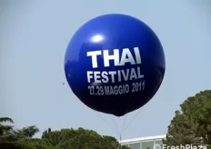Si e' svolto a Roma dal 27 al 29 maggio 2011 il Thai Festival 2011, organizzato dalla Reale Ambasciata di Thailandia in occasione dei 140 anni di relazioni diplomatiche tra Italia e Thailandia, con la collaborazione del TAT, Ente Nazionale per il Turismo Thailandese.