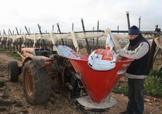 Sicilia – Mazzarrone (CT)- febbraio 2011 - Concimazione azotata con Calciocianamide, effettuata 15 giorni prima del risveglio vegetativo in un vigneto ad uva da tavola. Prodotta dalla Società AlzChem di Trostberg in Germania, e' distribuita in Italia dall'Agricola Internazionale di Pisa. I risultati di alcune ricerche effettuate in Puglia sull'applicazione della Calciocianamide in diverse epoche, hanno evidenziato che i maggiori incrementi produttivi, di qualita' dell'uva e di uniformita' di germogliamento delle gemme sono stati ottenuti con una distribuzione della concimazione azotata 15 giorni prima del germogliamento.