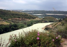 Sicilia – Mazzarrone (CT) - 24 maggio 2011 - Vigneti di Victoria protetti con film di polietilene per ottenere produzioni precoci. Spesso si individuano areali difficoltosi per la realizzazione e la gestione degli impianti, ma caratterizzati da clima favorevole per indurre la precocita' di maturazione.