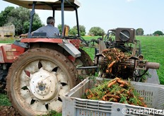 Le carote vengono estratte dal terreno e riversate in cassoni.