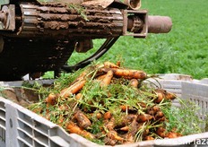 Dettaglio del cassone in via di riempimento.