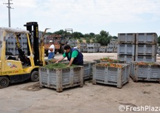 Operazioni di scarico.
