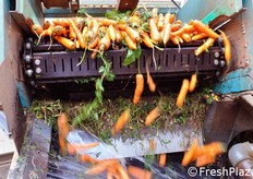 Dal primo rullo alla lavatrice.