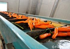 Ingresso del prodotto nello stabilimento.