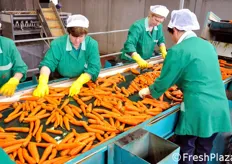 Il prodotto di scarto viene riutilizzato come mangime animale o come materia prima per l'industria del trasformato: ad esempio per la produzione di succo di carota, ma anche quale componente in alcuni cosmetici.