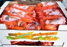 Dettaglio della cassetta.