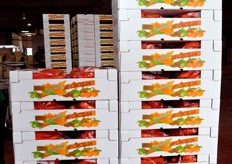 Pallet in formazione.