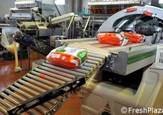 Vaschette in uscita dalla macchina pellicolatrice.