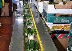 Linea per il confezionamento in cestini delle zucchine.
