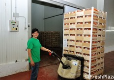 Lo stabilimento e' dotato di 4 celle per lo stoccaggio provvisorio dei prodotti freschi, in attesa del trasporto via camion verso le relative destinazioni.