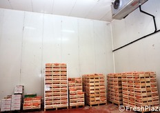 Prodotto parcheggiato in cella frigo.