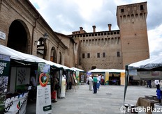 Alcuni stand aziendali sono stati allestiti nel cortile della Rocca.
