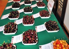 In questa foto e in quelle seguenti, alcune immagini della Mostra Pomologica.