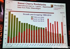 Non sempre l'uso di portinnesti va di pari passo con la resa produttiva, come dimostra questa tabella. Molte sono poi le variabili ambientali che vanno prese in considerazione nella scelta di un portinnesto. Secondo Balmer, le differenze tra portinnesti emergono solo a distanza di almeno 5 anni dal loro impianto.