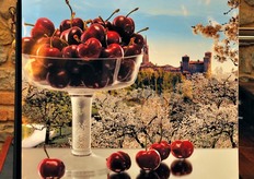 Numerosi altri interventi si sono succeduti nel corso della prima giornata del Convegno e altri ne seguiranno nella seconda, mentre la terza sara' dedicata ad un Tour del Ciliegio che tocchera' diverse regioni italiane. Arrivederci presto a Vignola, terra di ciliegie!