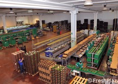 Vista dall'alto dello stabilimento. Esteso su una superficie coperta di 3.500 metri quadrati, con altri 1.000 mq di celle frigo e aree di stoccaggio, il magazzino ha gia' in cantiere un futuro ampliamento.