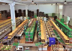 Nel frattempo, la sua organizzazione interna e' stata positivamente rivoluzionata dall'arrivo di tre nuove linee di selezione e calibratura elettronica UNITEC: due UNI_VERS 270© e una UNI_ONE jolly LF©.